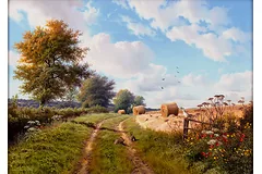 No frame image, click to enlarge