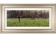 Large image, click to enlarge