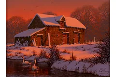 No frame image, click to enlarge