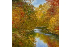 No frame image, click to enlarge