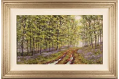 Large image, click to enlarge