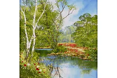 No frame image, click to enlarge