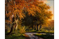 No frame image, click to enlarge