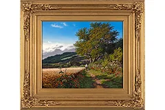 Large image, click to enlarge