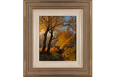 Large image, click to enlarge