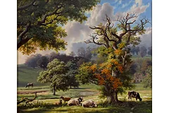 No frame image, click to enlarge