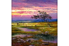 No frame image, click to enlarge