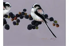 Signature image, click to enlarge
