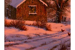 No frame image, click to enlarge