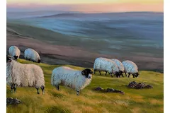 Signature image, click to enlarge