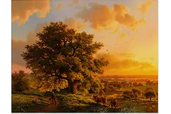No frame image, click to enlarge