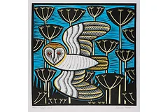 Large image, click to enlarge