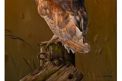 Signature image, click to enlarge