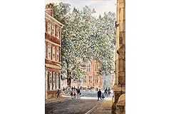 Large image, click to enlarge