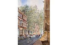 Large image, click to enlarge