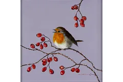 No frame image, click to enlarge