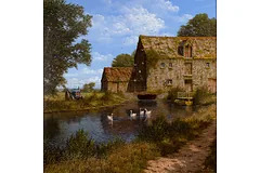 No frame image, click to enlarge