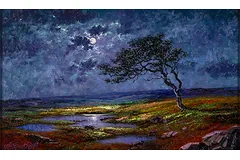 No frame image, click to enlarge