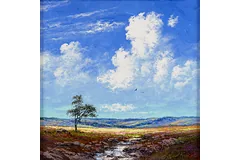 No frame image, click to enlarge
