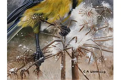 Signature image, click to enlarge