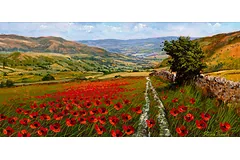 No frame image, click to enlarge