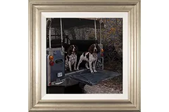 Large image, click to enlarge