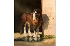 No frame image, click to enlarge
