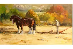 No frame image, click to enlarge