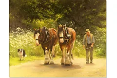 No frame image, click to enlarge