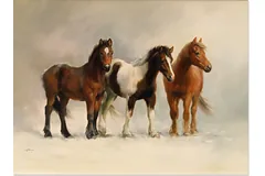No frame image, click to enlarge
