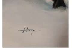Signature image, click to enlarge