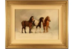 Large image, click to enlarge