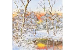 No frame image, click to enlarge
