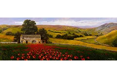 No frame image, click to enlarge