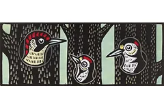 No frame image, click to enlarge
