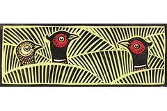 No frame image, click to enlarge