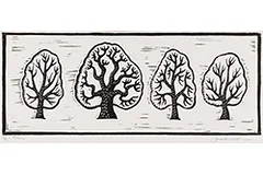 Large image, click to enlarge