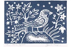 Large image, click to enlarge