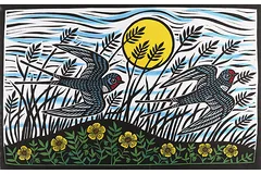 No frame image, click to enlarge