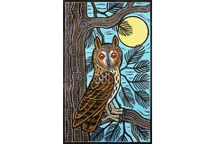 No frame image, click to enlarge