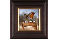 Large image, click to enlarge