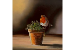 No frame image, click to enlarge