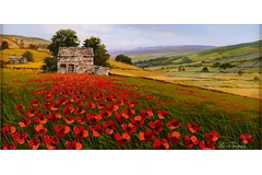 No frame image, click to enlarge