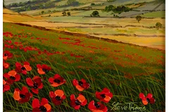 Signature image, click to enlarge