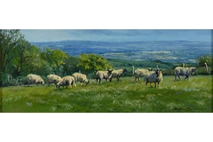 No frame image, click to enlarge