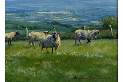 Signature image, click to enlarge