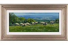 Large image, click to enlarge