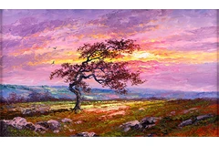 No frame image, click to enlarge