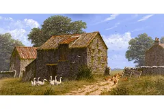 No frame image, click to enlarge