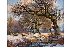 No frame image, click to enlarge